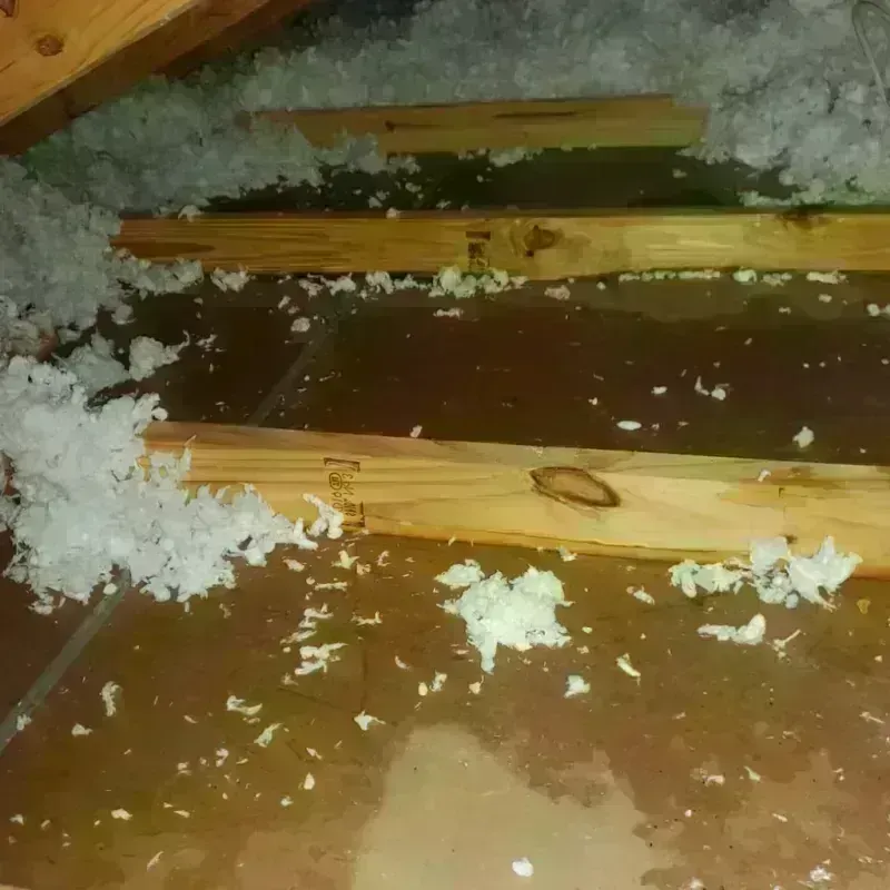 Attic Water Damage in Sanford, NC