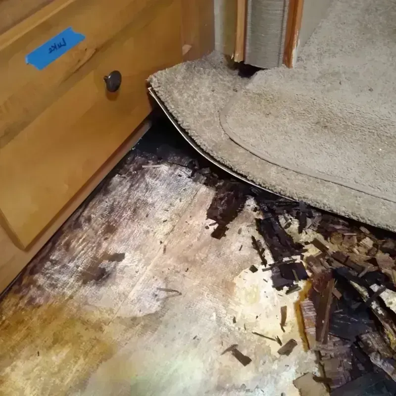 Wood Floor Water Damage in Sanford, NC